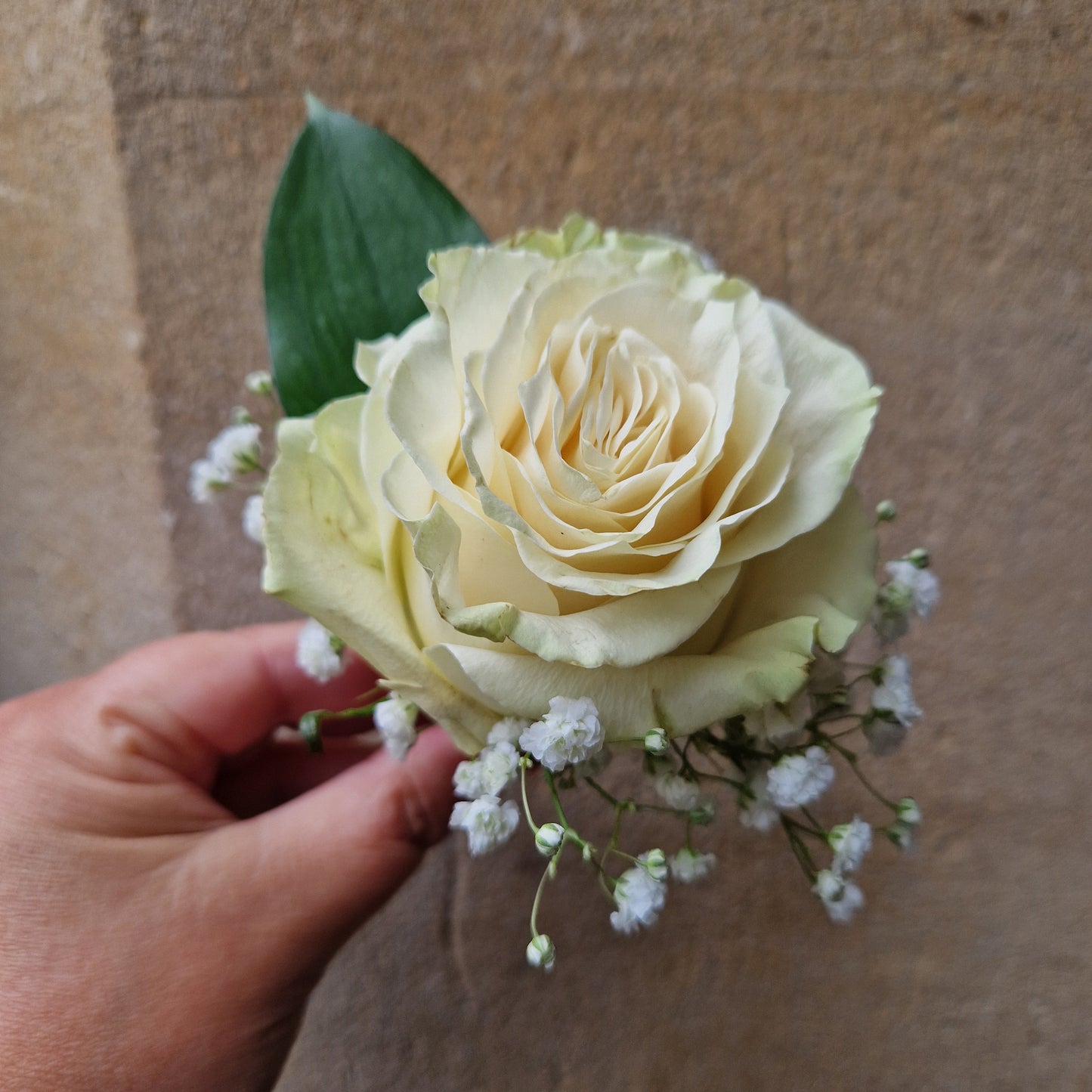 White rose buttonhole