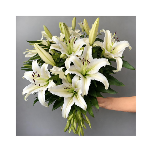 White Oriental Lilies
