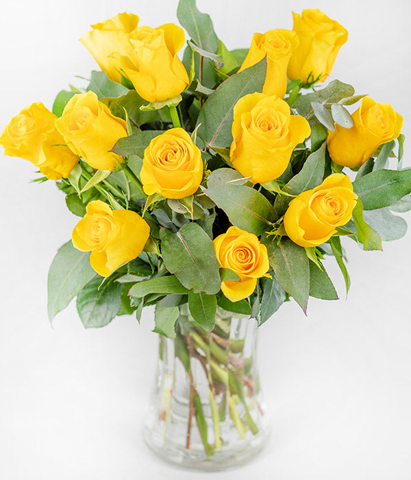 Yellow Roses