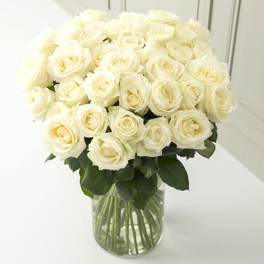 large, best quality white roses