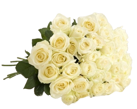 Large White Roses