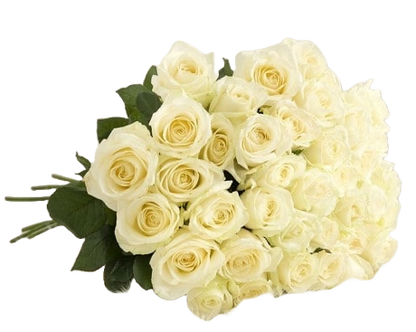Large White Roses