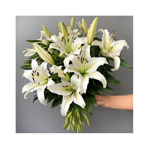 White oriental lilies