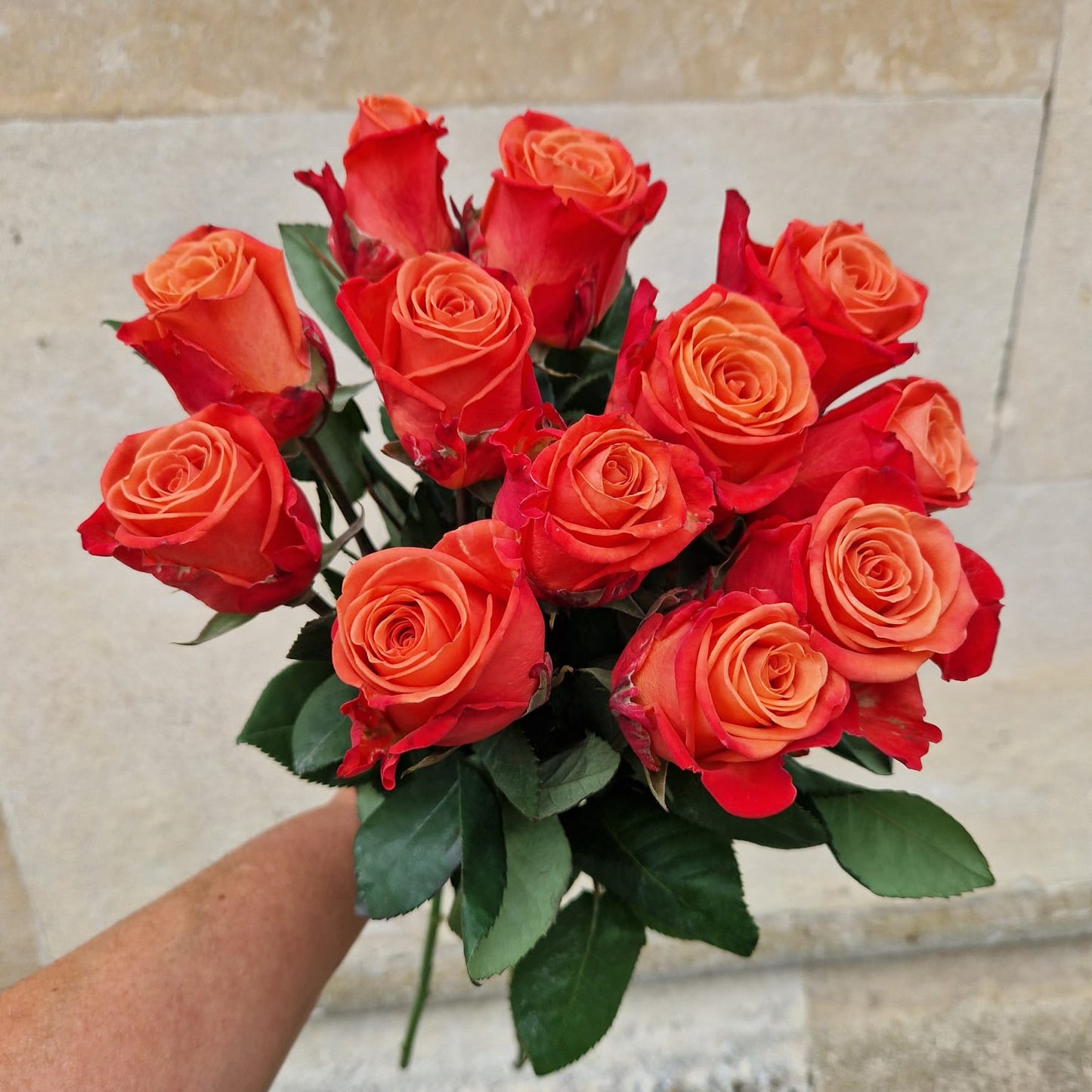 Orange roses